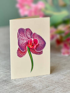 Orchid Oasis (8 Pop-up Greeting Cards)