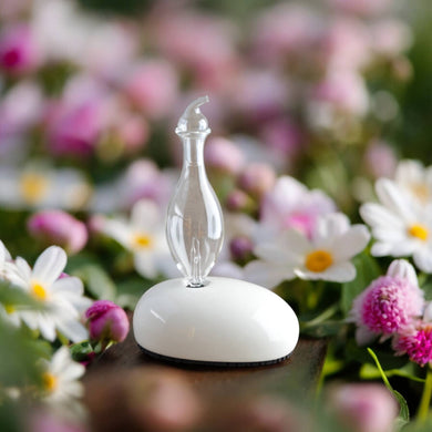 Dan Nebulization Essential Oil Diffuser