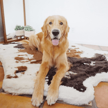 PupRug™ Animal Print Memory Foam Dog Bed - Brown Faux Cowhide: Original (55" L x 50" W)