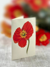 French Poppies (8 Pop-up Greeting Cards)