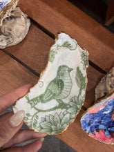 Large Oyster Shell Trinket Tray