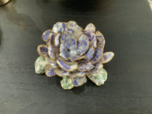 XL Oyster Shell Trinket Tray