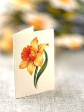 English Daffodils (8 Pop-up Greeting Cards)