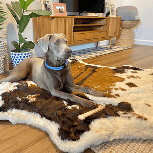 PupRug™ Animal Print Memory Foam Dog Bed - Brown Faux Cowhide: Original (55" L x 50" W)