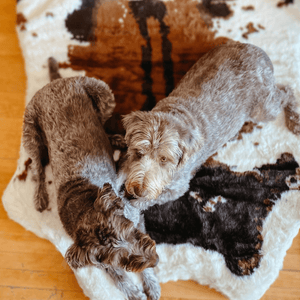 PupRug™ Animal Print Memory Foam Dog Bed - Brown Faux Cowhide: Original (55" L x 50" W)