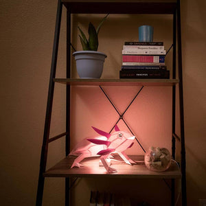 Axolotl 3D Origami Model PaperCraft, Animal Lamp