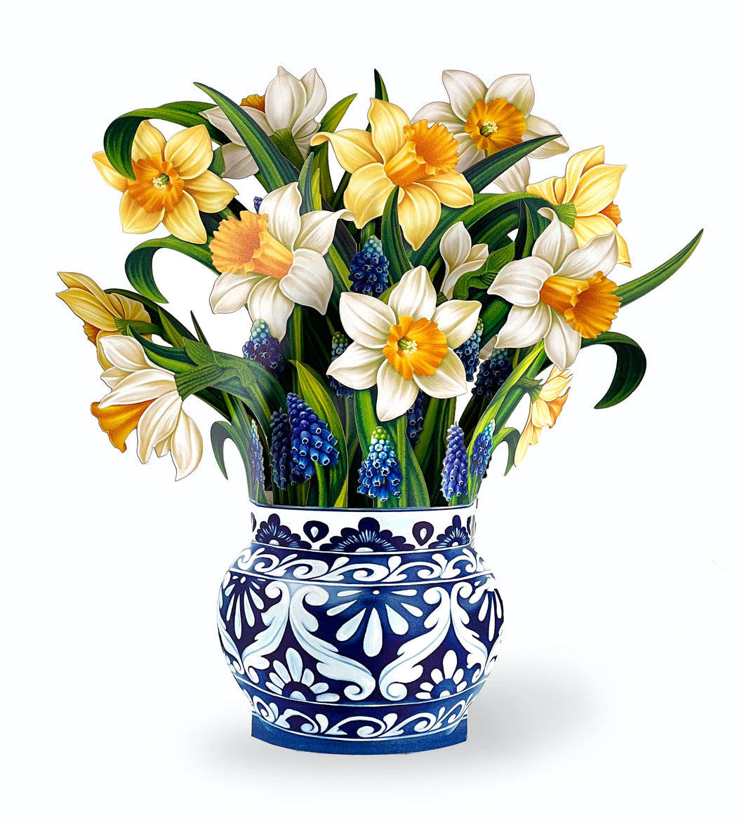 English Daffodils (8 Pop-up Greeting Cards)